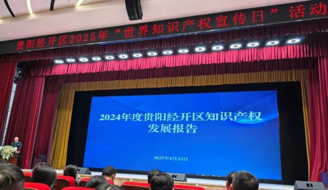 龙8国际出席贵阳经开区2025年“世界知识产权宣传日”活动(图2) 图片